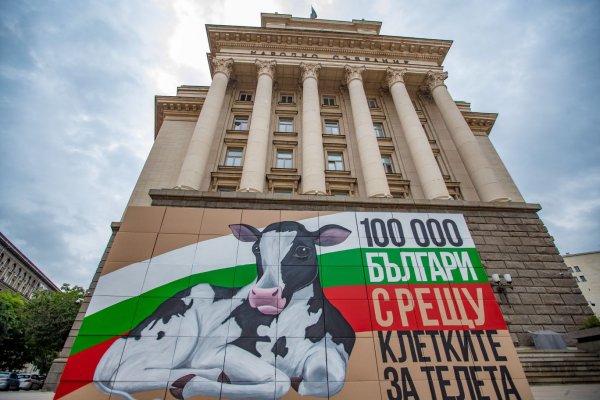 Снимка: Димитър Кьосемарлиев, Dnes.bg